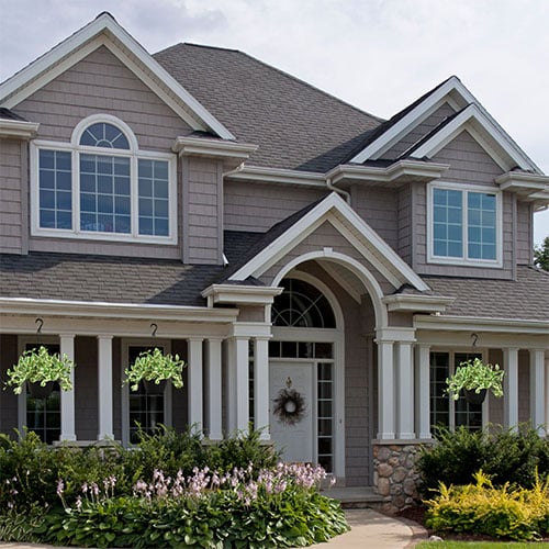 Pothos, Golden (10" Hanging Basket) - Image 4