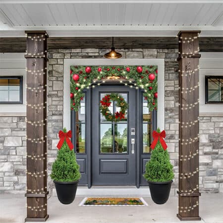 Dwarf Alberta Spruce Shrub, Holiday Decorative Black Container (3 Gallon) - Image 3
