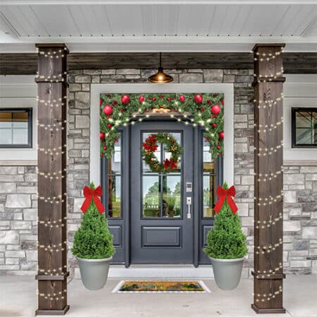 Dwarf Alberta Spruce Shrub, Holiday Decorative White Container (3 Gallon) - Image 3