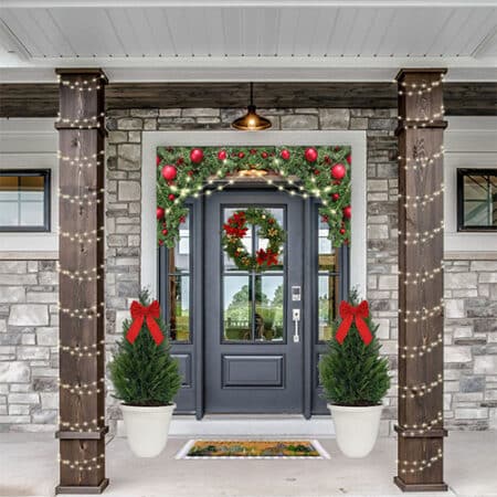 Leyland Cypress Shrub, Holiday Decorative White Container with Bow (3 Gallon) - Image 3