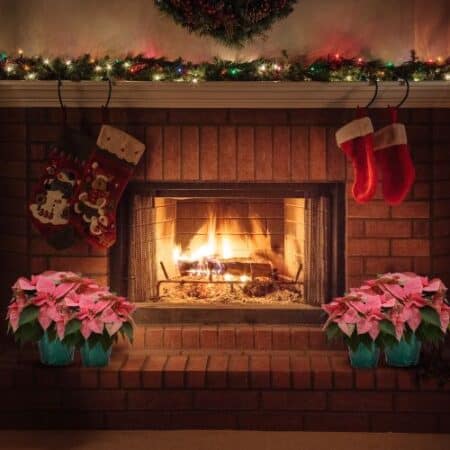 Poinsettia Pink - Image 4