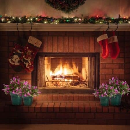 Christmas Cactus Purple - Image 4